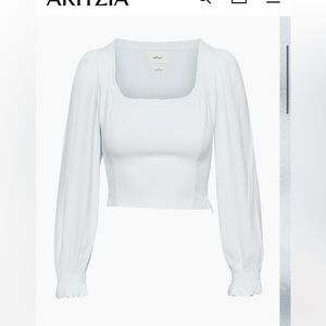 Aritzia Wilfred Top